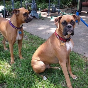 Hope and Bruno