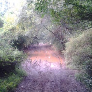 Carver Mill