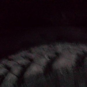 20130927_191246