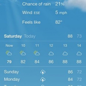 87% humidity... Yikes