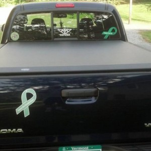 view of tonneau cover