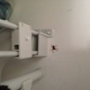 Fuck!