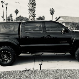 Black Stallion