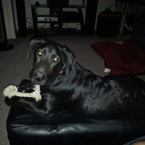 Pulled the ottoman next to the couch... I layed on the couch and told Bende