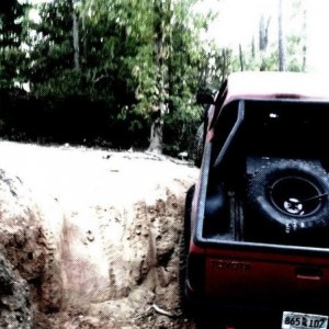 Gulches