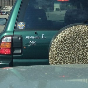 must be the leopard edition