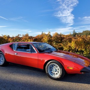 Pantera Pic Vineyard