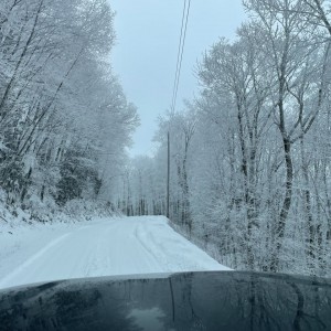 Max Patch Road