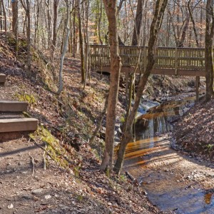 Trail Beside The Creek 2