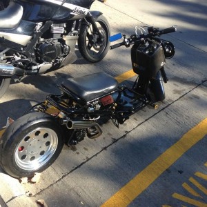 Cool Ruckus bro.