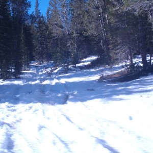 Boulder_City_10_6_13_023
