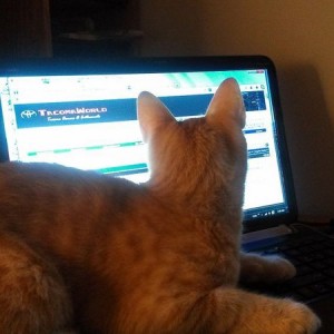 Simba checking out the latest gen 2 mods.