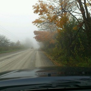 This message is brought to you by Rogers Fog