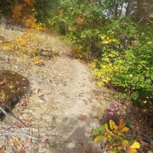 Nice little trail around the lake