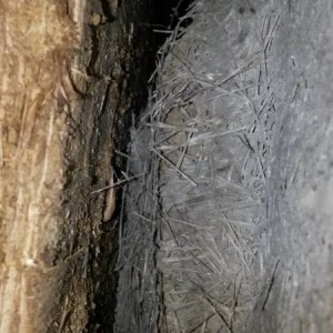 20131010_102326
