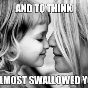 Swallow1