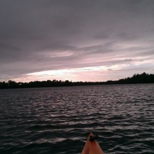 live8se8yQ
