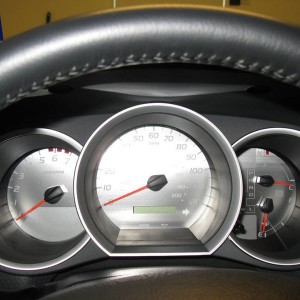 Stainless Steel Guage Face from CarID