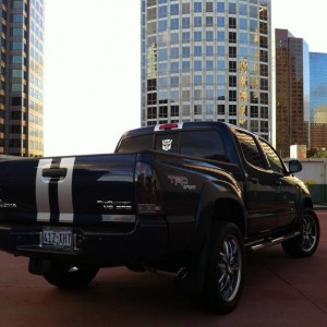 Custom Racing Stripes (Rear View)