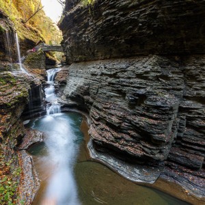 Watkins Glen