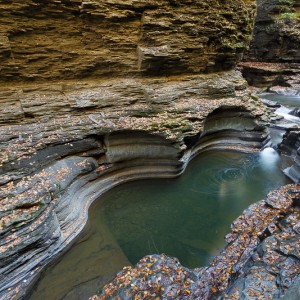 Watkins Glen