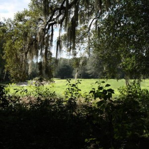 hunting blind gos here 8)