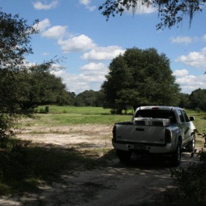 The Yard