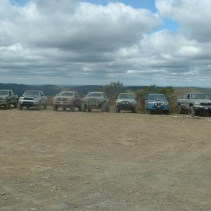 Harln_071
