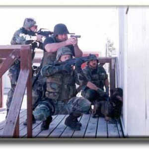 swat2