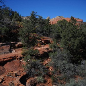 Sedona_023