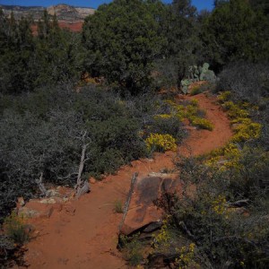 Sedona_009