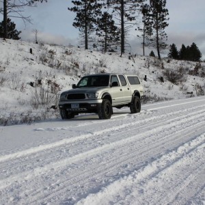 in the snow