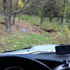 So I went "wheeling" in my woods!