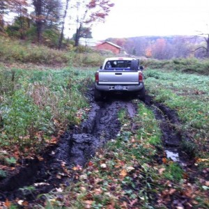 Dragging pumpkin will do that!