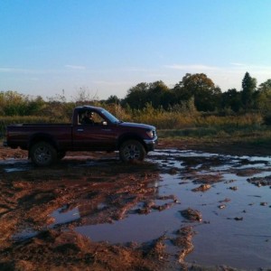 Cody playing in the mud