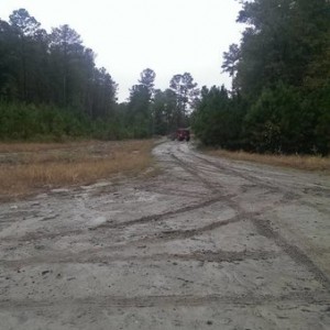IMAG0162-1