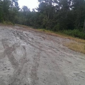 IMAG016418