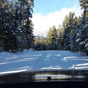 road trip pics