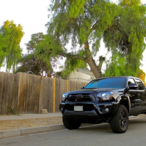 badges 'n wheels 10