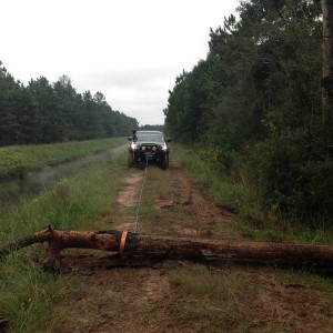 Trail clearing fun