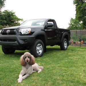 2013 Tacoma RC 4X4