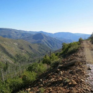 trails & forest service roads