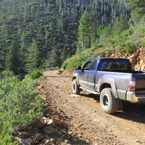 trails & forest service roads
