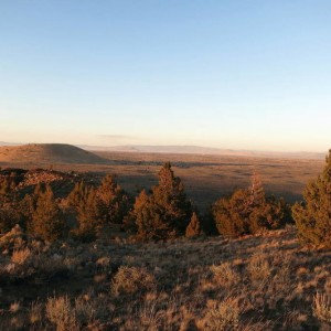 trails & forest service roads