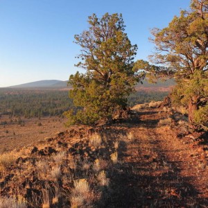 trails & forest service roads