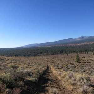 Modoc National Forest