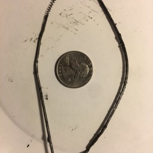 Stripped O-ring Quarter