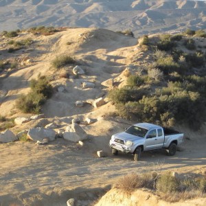 Cleghorn