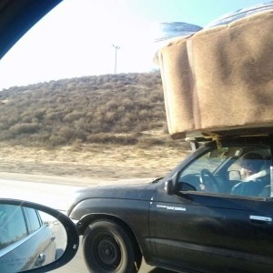 Definitely a Tacoma