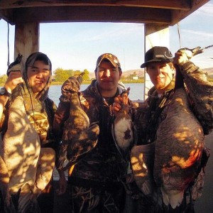 Bird Hunting